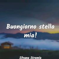.2023stella