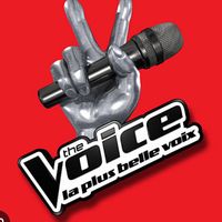 best_thevoice_singer