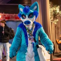 lucky_the_fosky_official
