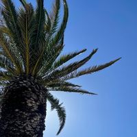 mostlyminimal