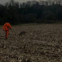 chassedordogne