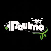 původní zvuk - Paulino