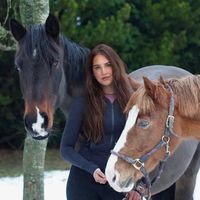 libbypartridge.equine