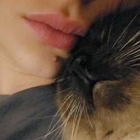 danijela_cavic98