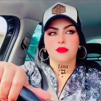 lina2024asfi