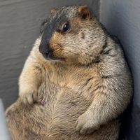prairiedog.enthusiast