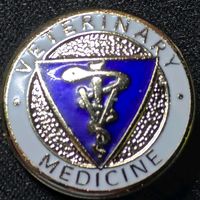 suono originale - Il Veterinario di Tik Tok
