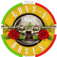 gunsnfnroses.it