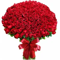 Diallo