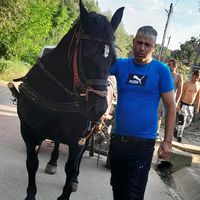 oani.alecs