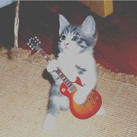 kalhed.guitare