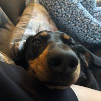 jayscott122