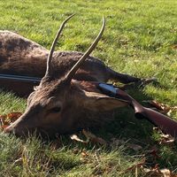 passion_chasse.pf