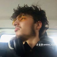 amine_27.02