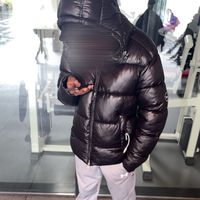 enzo_damoura932z