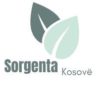 sorgenta.kosove