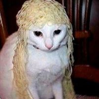 sonido original - tot3r