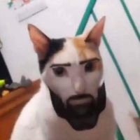 oui je le savais tu