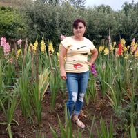 sunet original