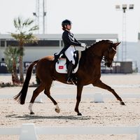 evagonzalo.dressage