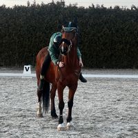 iskra_eq