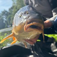 mb_huntingfishing