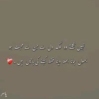 .wahabmalhi