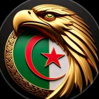 chible_dz_313