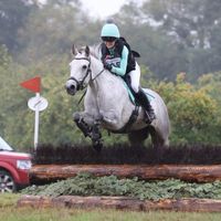 phoebe_thewildcardponies