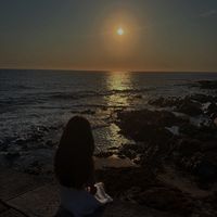 a_silvaly8