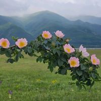 mmmmmmm77777777777777