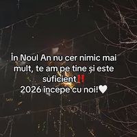 amyrbdn2