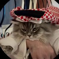 syrischer_asylant