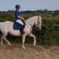 laura_eq4