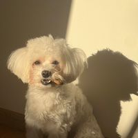 mioana67