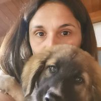 antonellacapurso7