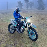 surulik125