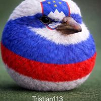 tristian113