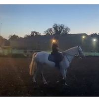 original sound