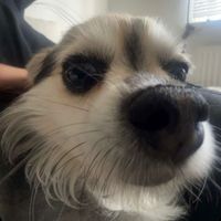 brooklynkenji14