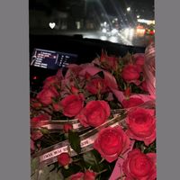 rosi_110307