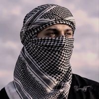 assoulamir2