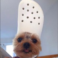 Originalton