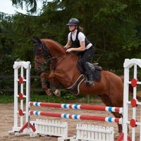 eny.equestrian