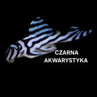 czarnaakwarystyka
