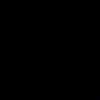 delil_4747