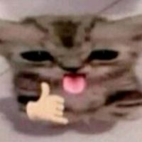 kawka.aa