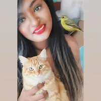 original sound - sanjana_bollywood90s