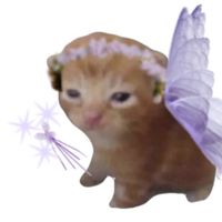 seojunfairy