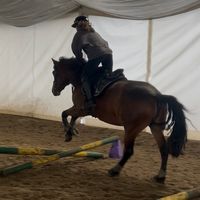 jusiaa._equestrian